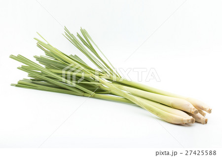 レモングラス: Lemon grass 27425588