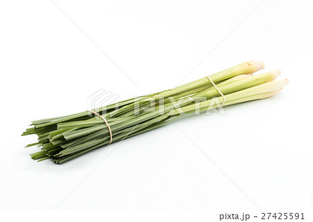 レモングラス: Lemon grass レモングラス: Lemon grass 27425591