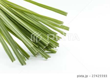 レモングラス: Lemon grass 27425593