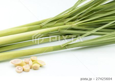 レモングラス: Lemon grass レモングラス: Lemon grass 27425604