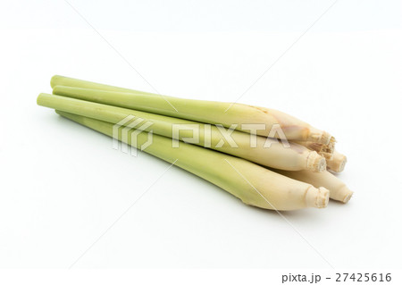 レモングラス: Lemon grass レモングラス: Lemon grass 27425616