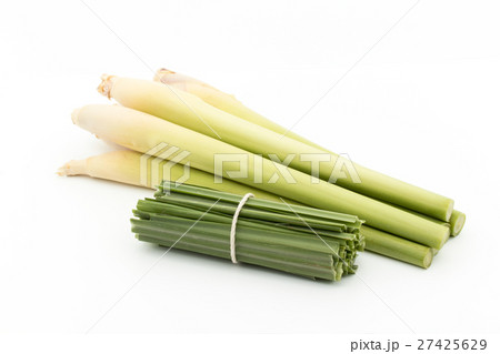 レモングラス: Lemon grass レモングラス: Lemon grass 27425629