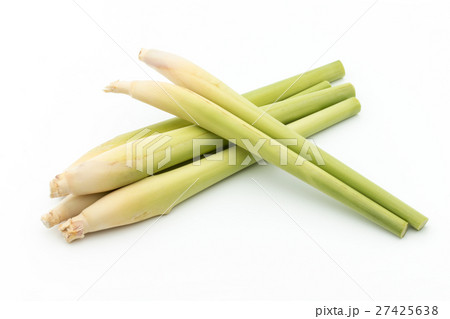 レモングラス: Lemon grass 27425638