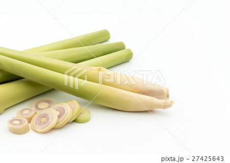 レモングラス: Lemon grass レモングラス: Lemon grass 27425643