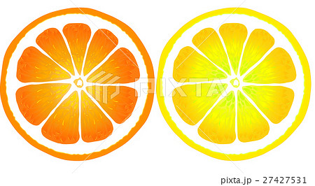オレンジ レモン 断面のイラスト素材