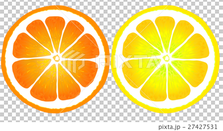 オレンジ レモン 断面のイラスト素材 [27427531] - PIXTA
