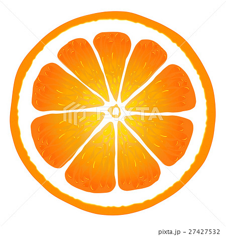 オレンジ 断面のイラスト素材