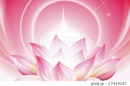 lightful lotus background lightful lotus background 27429267