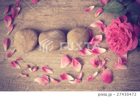 Still life,pink rose on grunge wood background Still life,pink rose on grunge wood background 27430472