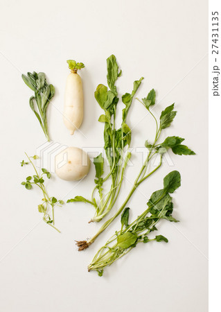 春の七草 27431135
