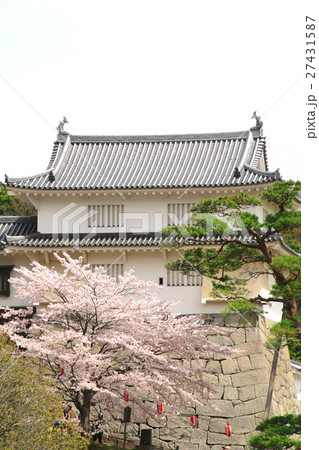 春の霞ヶ城（二本松市） 27431587