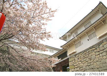 春の霞ヶ城(二本松市) 春の霞ヶ城(二本松市) 27431589