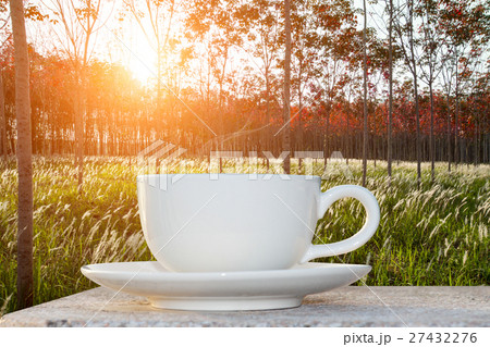 morning coffee and sunrise in the latex garden 27432276