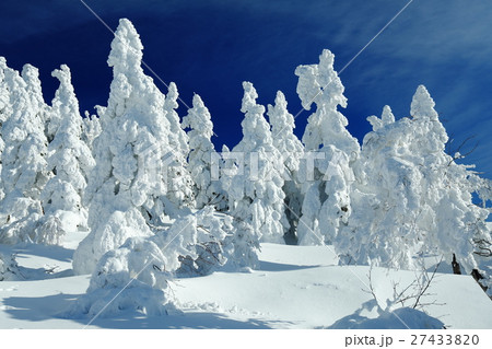 森吉山の樹氷平 27433820