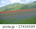 カステルッチョ 27434589