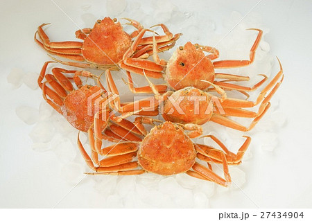 香箱がに 香箱がに 27434904