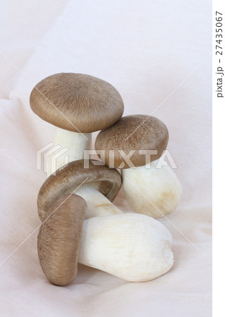 シメジ 27435067