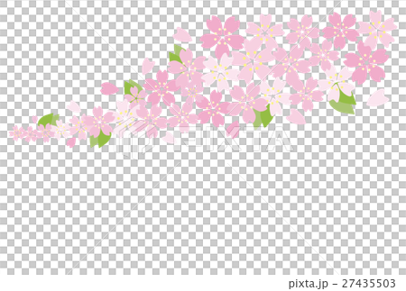 桜模様　上昇 27435503