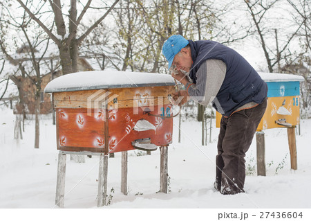 Beekeeper winter monitors the status of bees in Beekeeper winter monitors the status of bees in 27436604