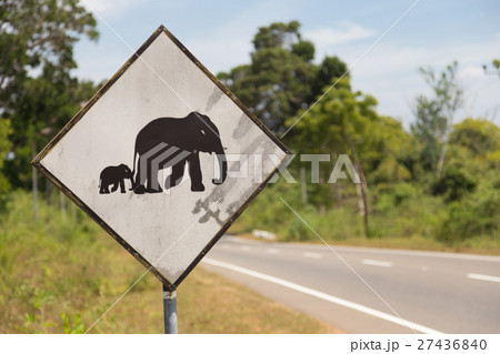Road sign in Sri Lanka. Caution, elephants 27436840