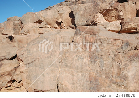 サハラ砂漠の岩絵（ワニ） 27438979