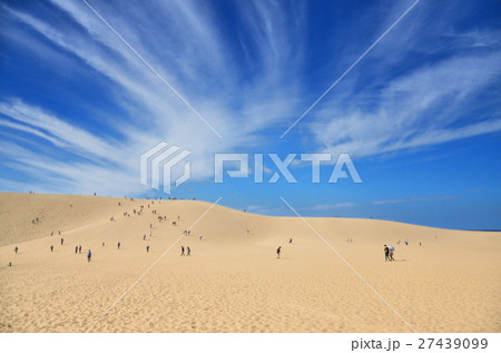 鳥取　青空と鳥取砂丘 27439099