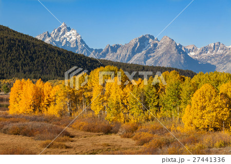 Teton Fall Landscape 27441336