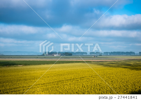 wheat field and farm in autumn, France wheat field and farm in autumn, France 27441841