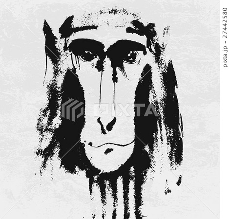 Watercolor portrait of grey furry monkey Watercolor portrait of grey furry monkey 27442580