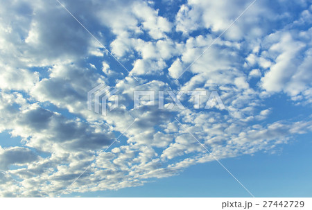 sky sky 27442729