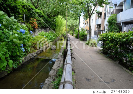 多摩堤通り 27443039