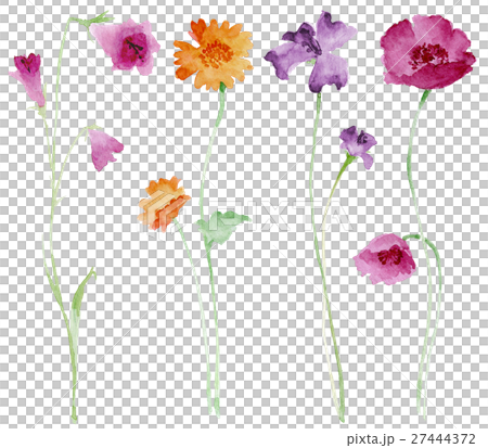 草花スケッチ 27444372