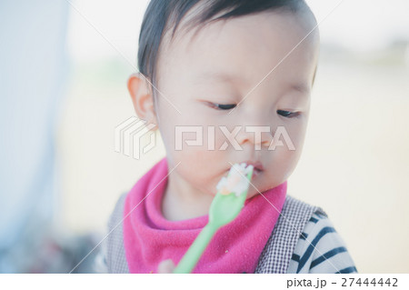 1 year old 27444442