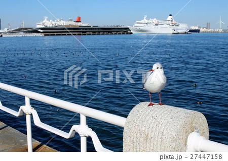 カモメと客船 27447158