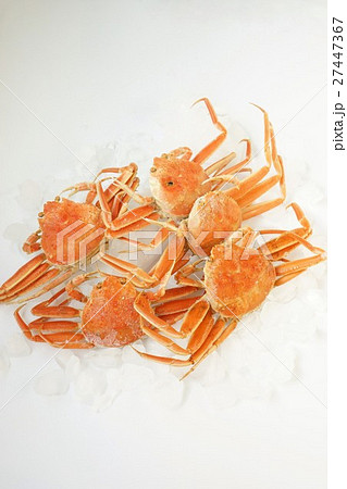 香箱がに 27447367