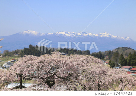 中島の地蔵桜と安達太良山（二本松市） 27447422