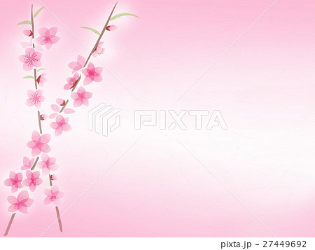 Peach Flower Illustration Background Stock Illustration