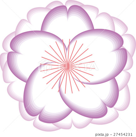 八重桜花 紫 八重桜花 紫 27454231