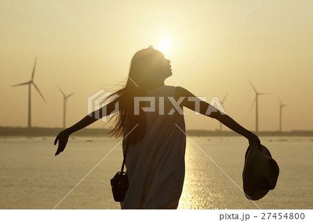 台湾を観光する女性　高美湿地 27454800