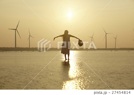 台湾を観光する女性　高美湿地 27454814