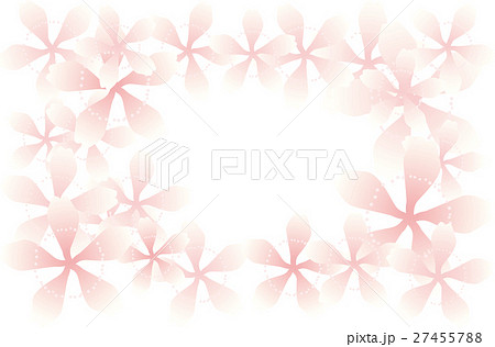 桜花背景 ピンク 背景白透かしのイラスト素材