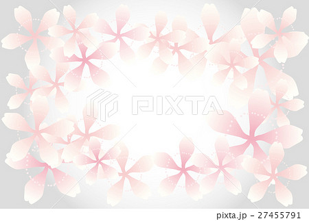 桜花背景 ピンク グレー 桜花背景 ピンク グレー 27455791