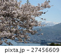 小樽・水天宮の桜 27456609