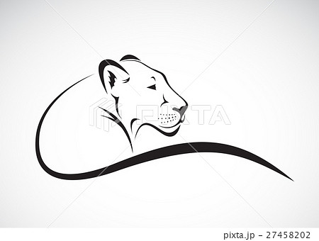 Vector of a lion female design on white background 27458202