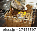 あわびの踊り焼き 27458597