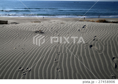 海岸を行き来する足跡 27458906