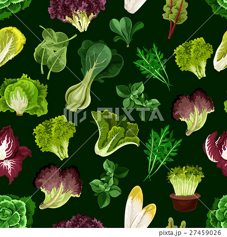 Leaf vegetable, salad greens seamless pattern 27459026