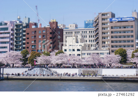 桜(特殊技法、ミニチュア風、ジオラマ風、逆アオリ) 桜(特殊技法、ミニチュア風、ジオラマ風、逆アオリ) 27461292