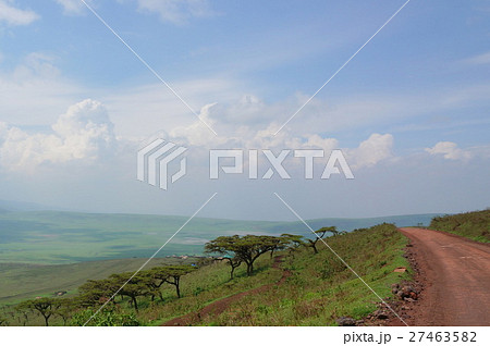 ンゴロンゴロ山麓 27463582