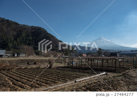 ひょうたん畑と富士山 27464277